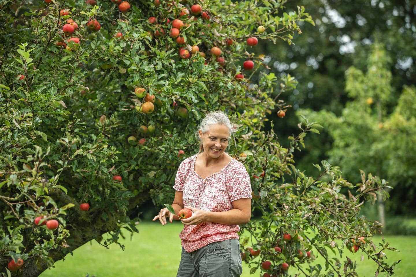 Kvinde står ved æbletræ og smiler, fotografi