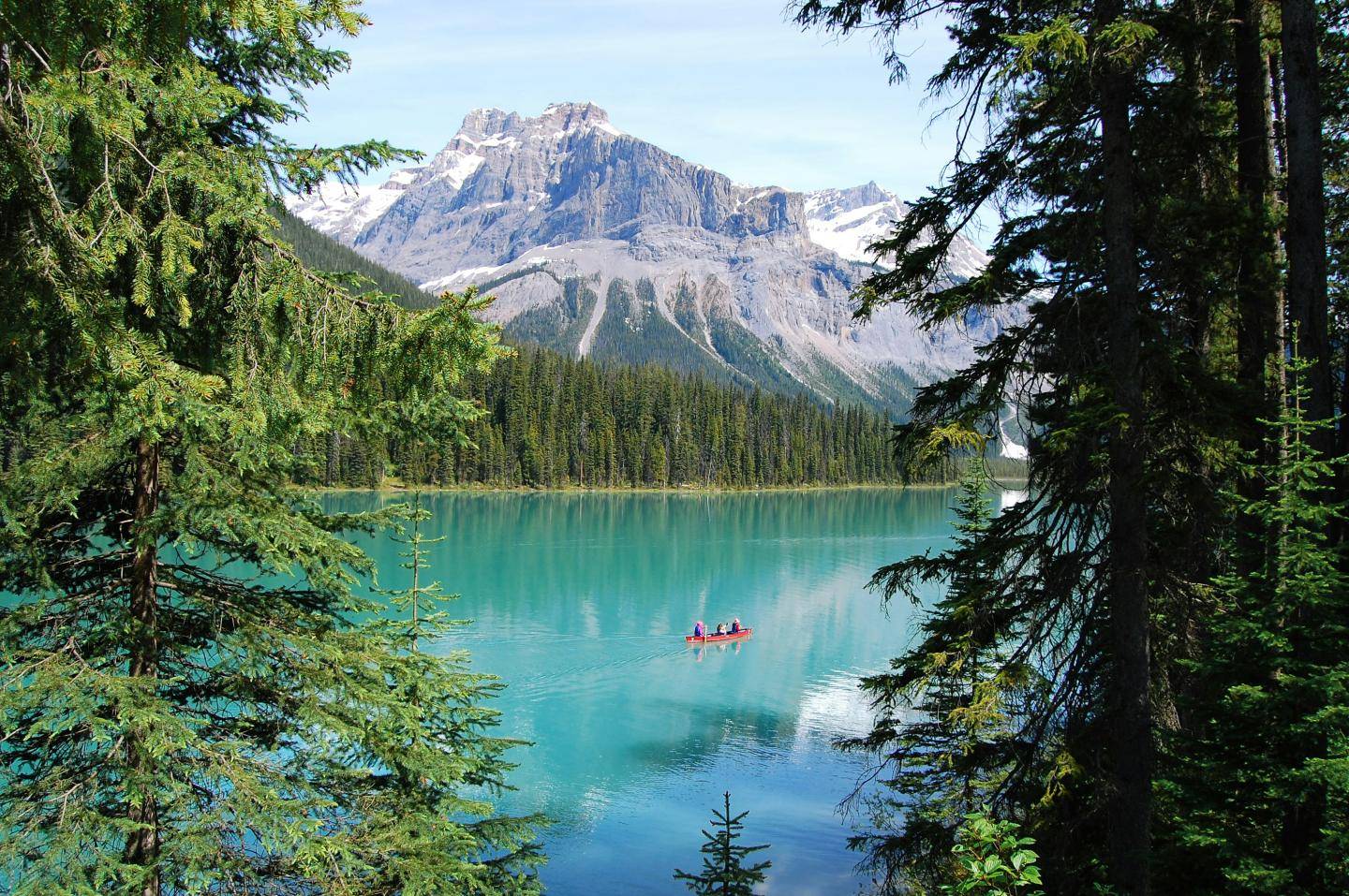 Rejseforsikring canada