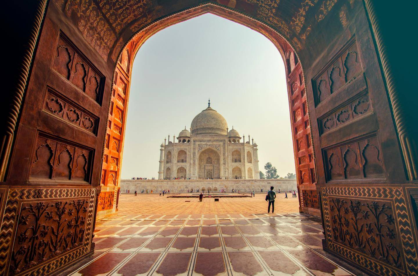 rejseforsikring indien