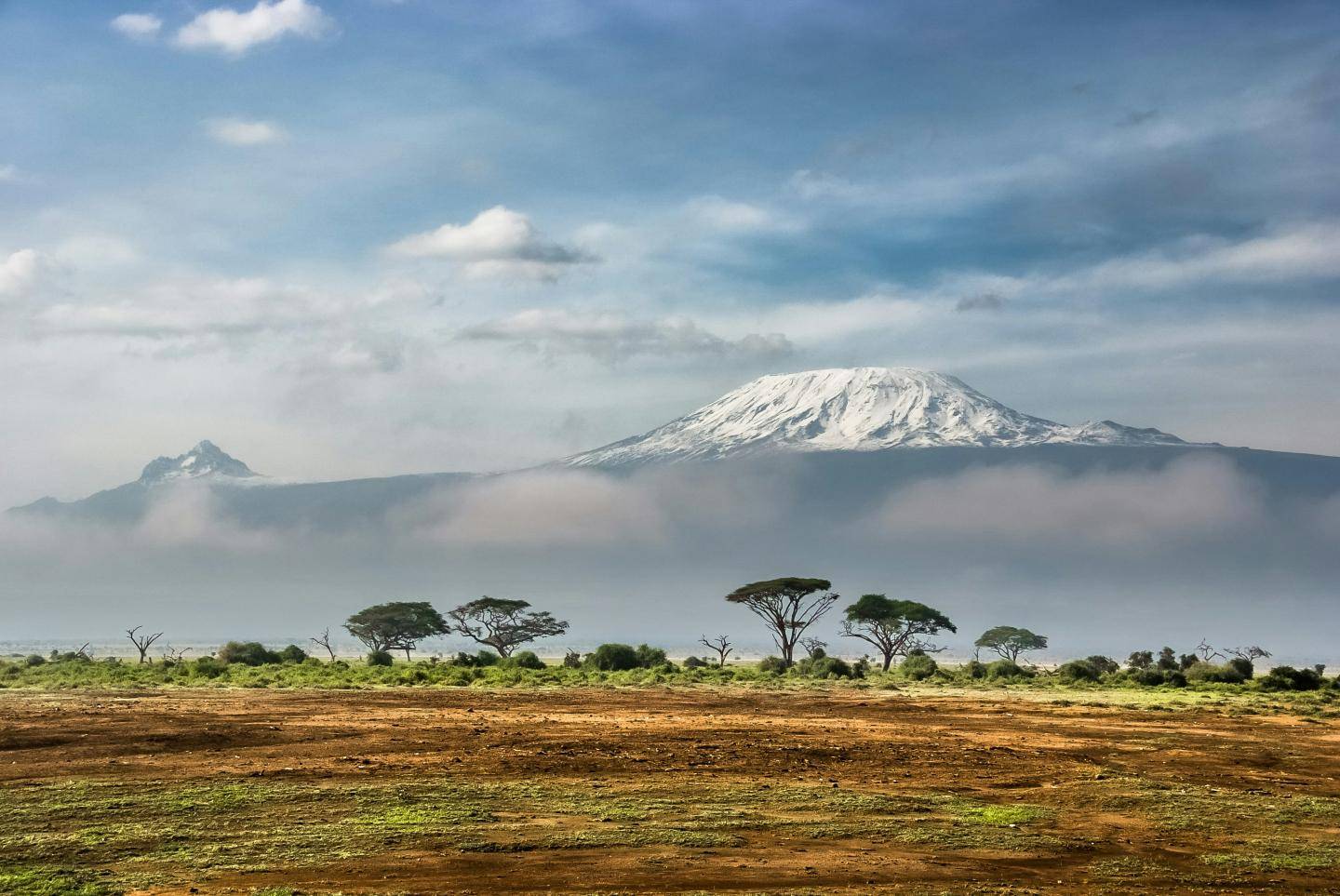 Rejseforsikring kenya