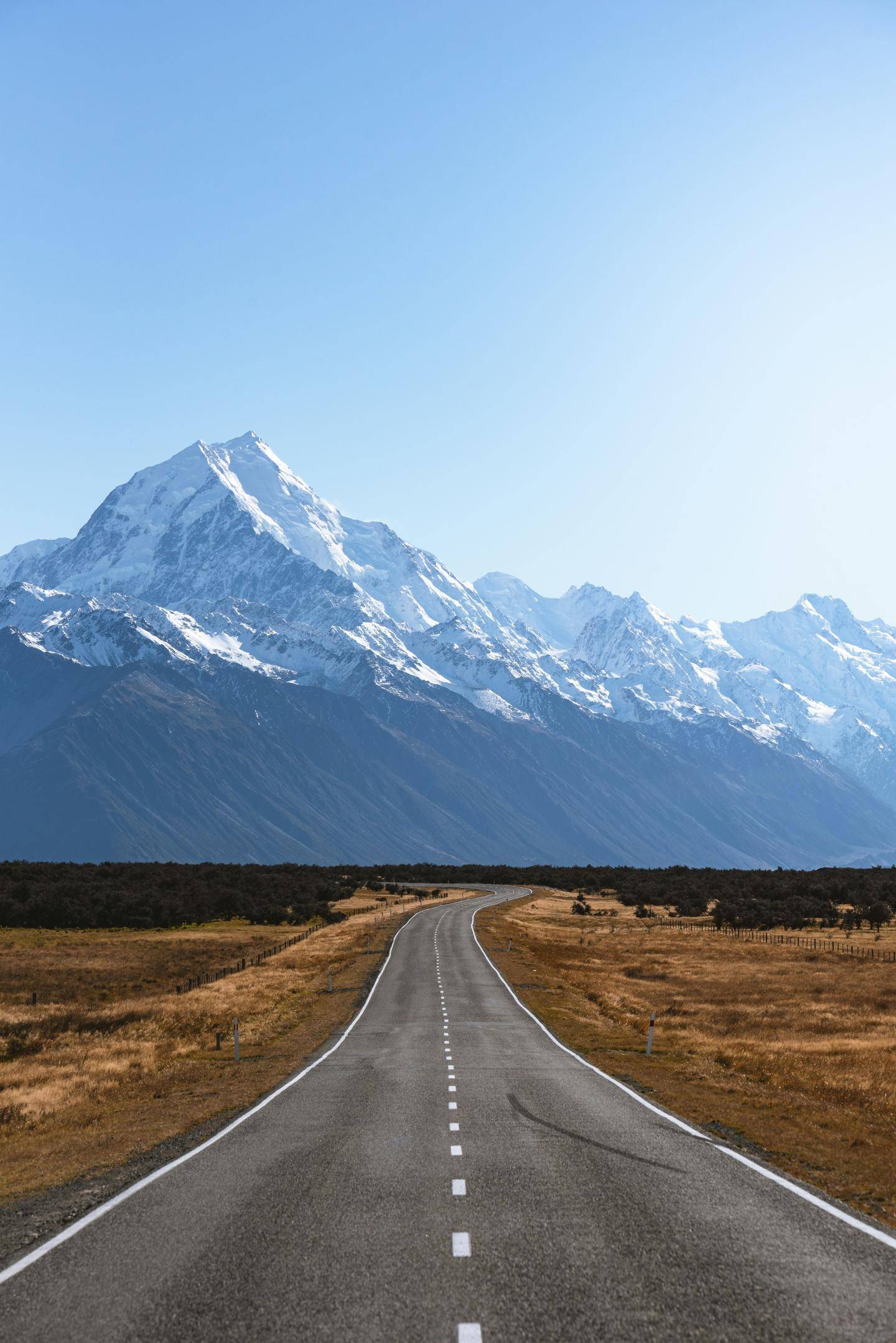 Rejseforsikring New Zealand