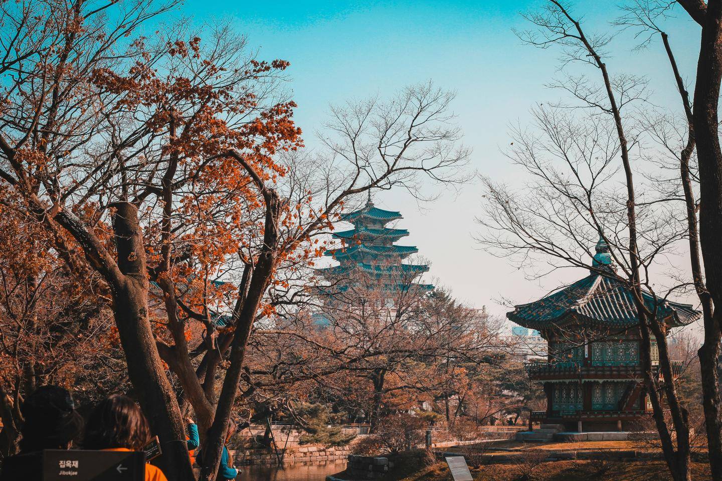 rejseforsikring sydkorea