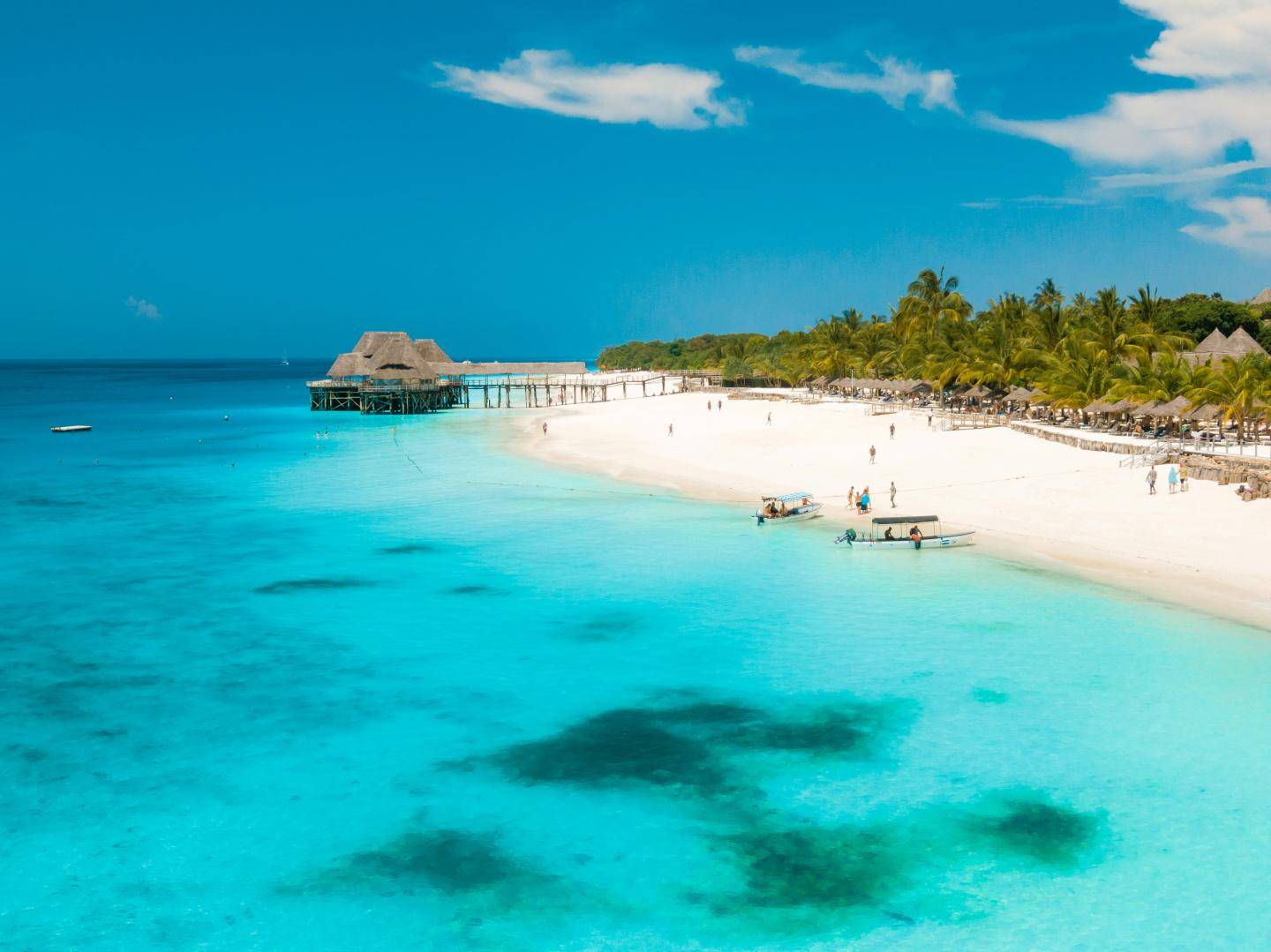 Rejseforsikring tanzania