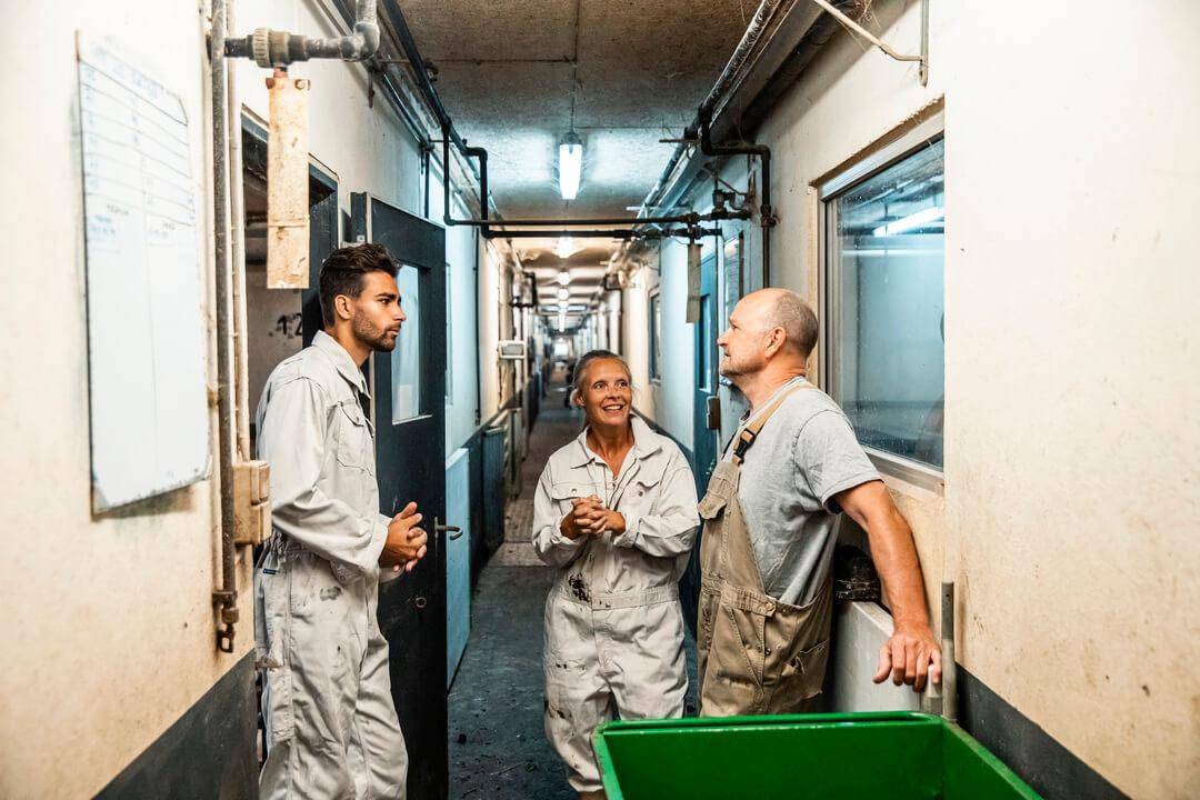 Tre personer i arbejdstøj, herunder en landbrugsassurandør og to landmænd, i dialog i en staldgang under en gennemgang af landbrugets bygninger.