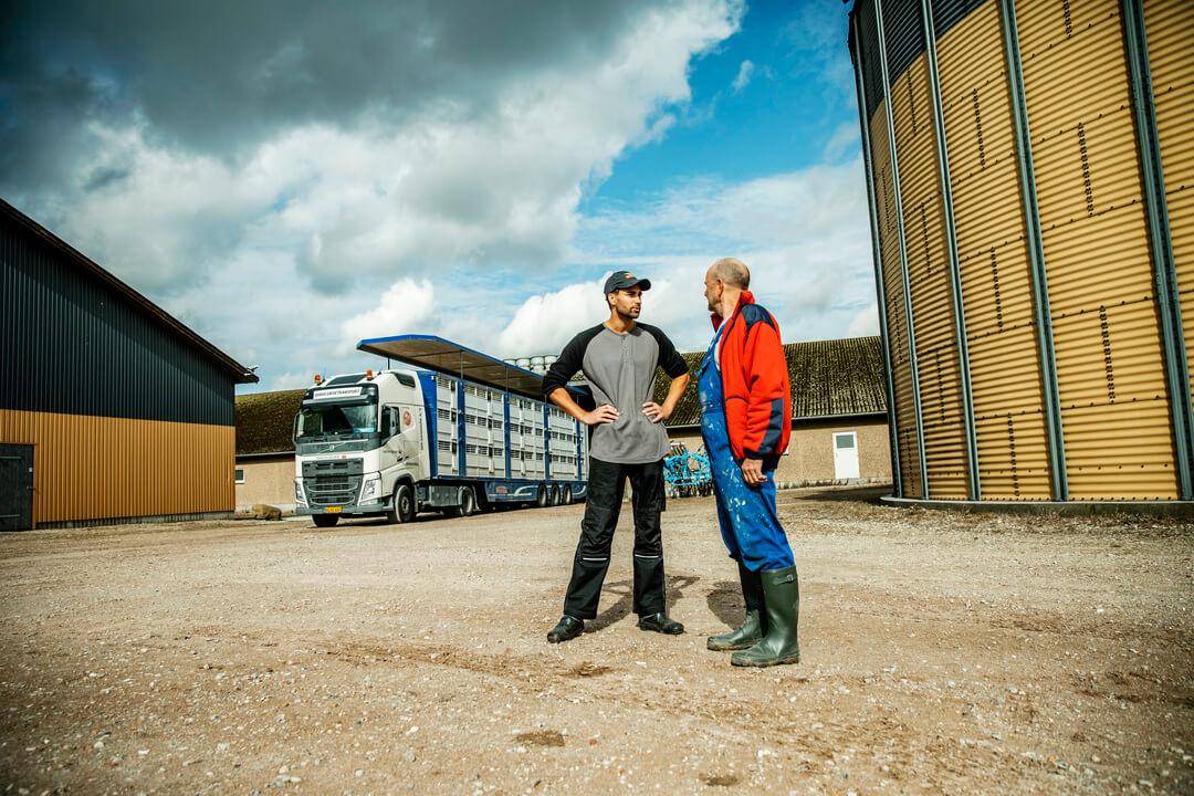 To mænd i arbejdstøj står på en gårdsplads og taler sammen, med en stor dyretransportlastbil og en gul kornsilo i baggrunden under en skyet himmel.