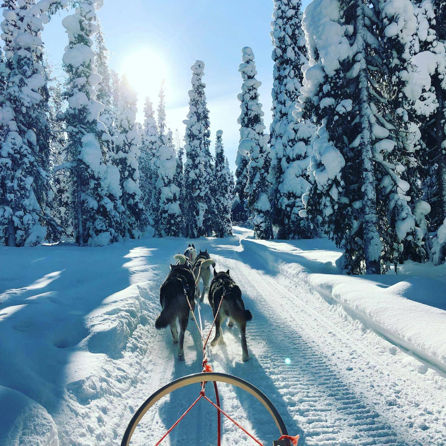 Rejseforsikring - Finland