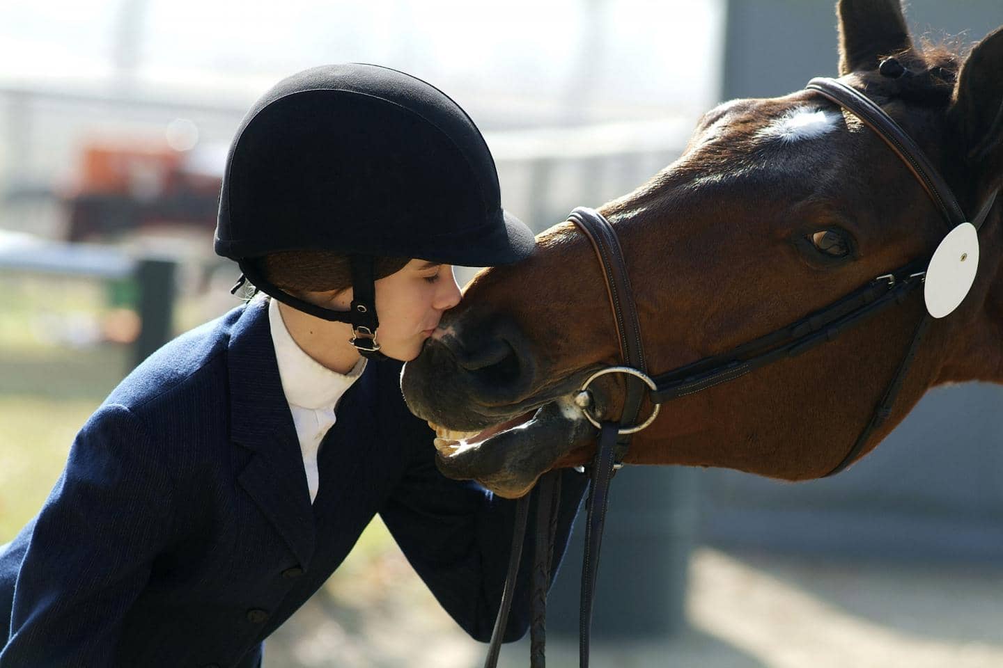 hesteforsikring - markedets bedste hesteforsikring til dig og din hest. Kvinde kysser hest på mulen