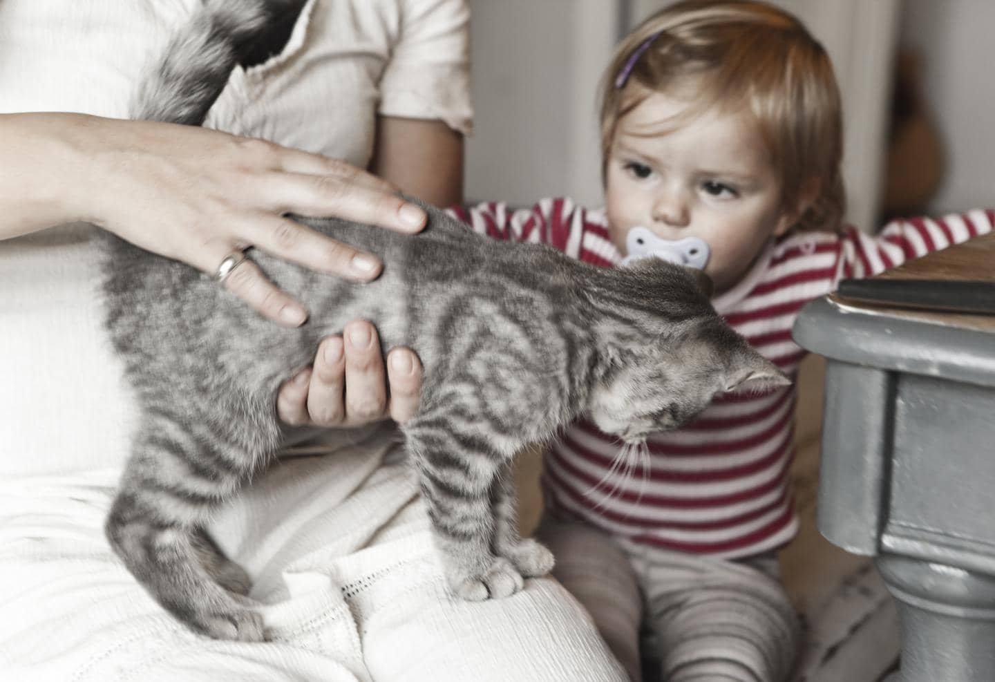 Katteforsikring - Barn kæler med en kattekilling