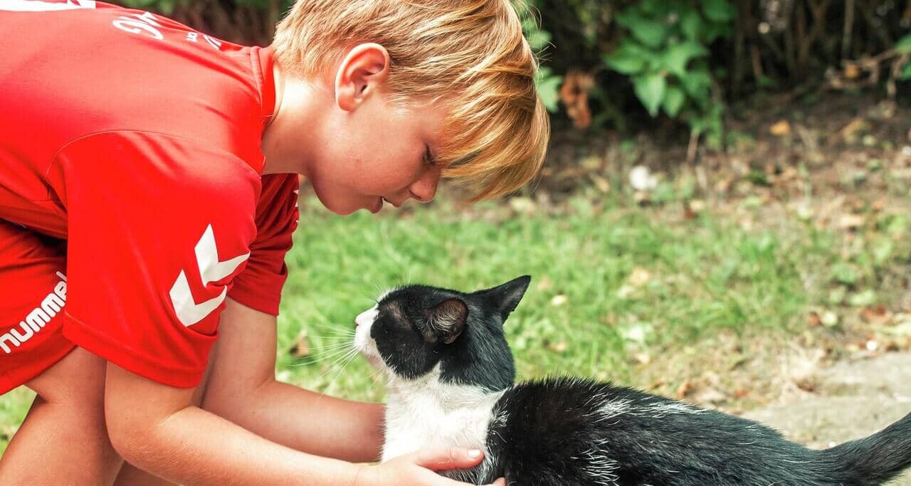 Dreng nusser kat
